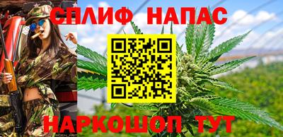 jwh Краснодар