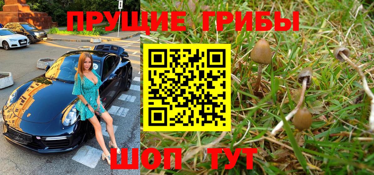 Галлюциногенные грибы Magic Shrooms  Вход с VPN  Красногорск  Псилоцибиновые грибы GOLDEN TEACHER 