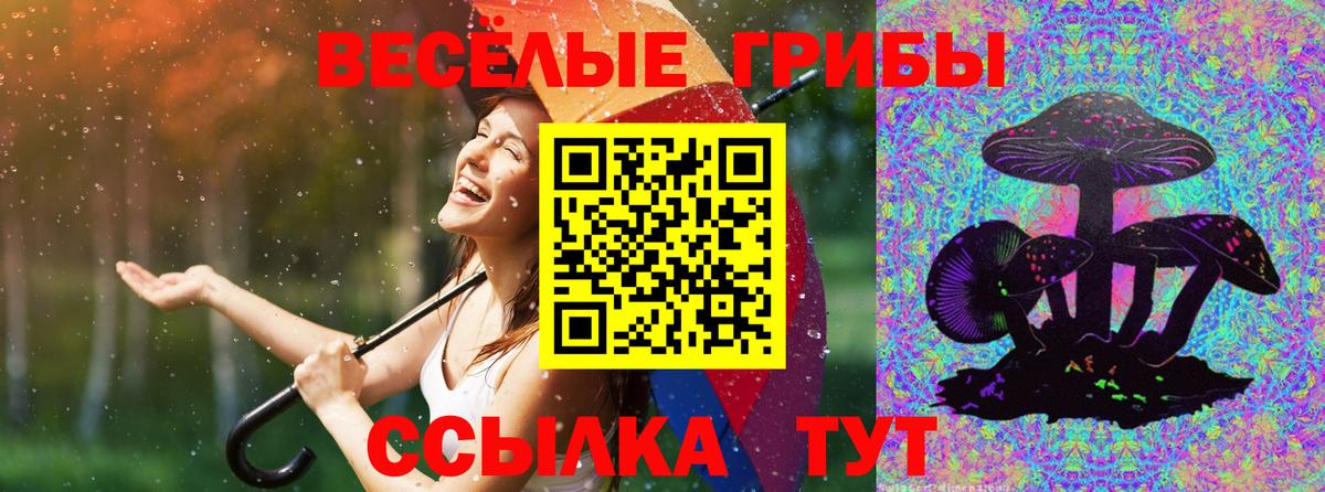 Галлюциногенные грибы Psilocybe Красногорск